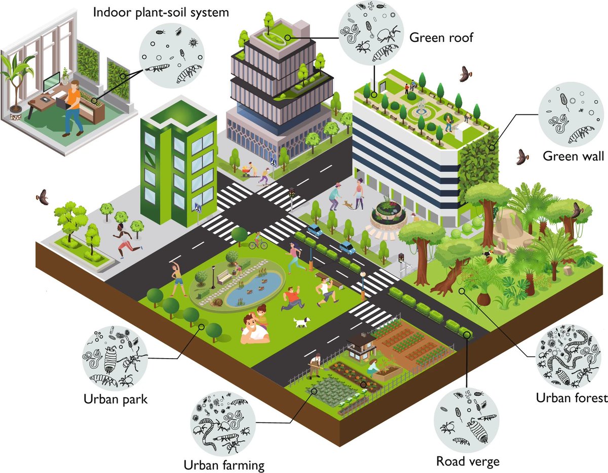 pratap05's tweet photo. Nice article addressing the correlation between #SoilHealth and #human health in #urban spaces. #SaveSoil @cpsavesoil 
source: https://t.co/fUqlDIo5yM https://t.co/ccSv3ZJcRM