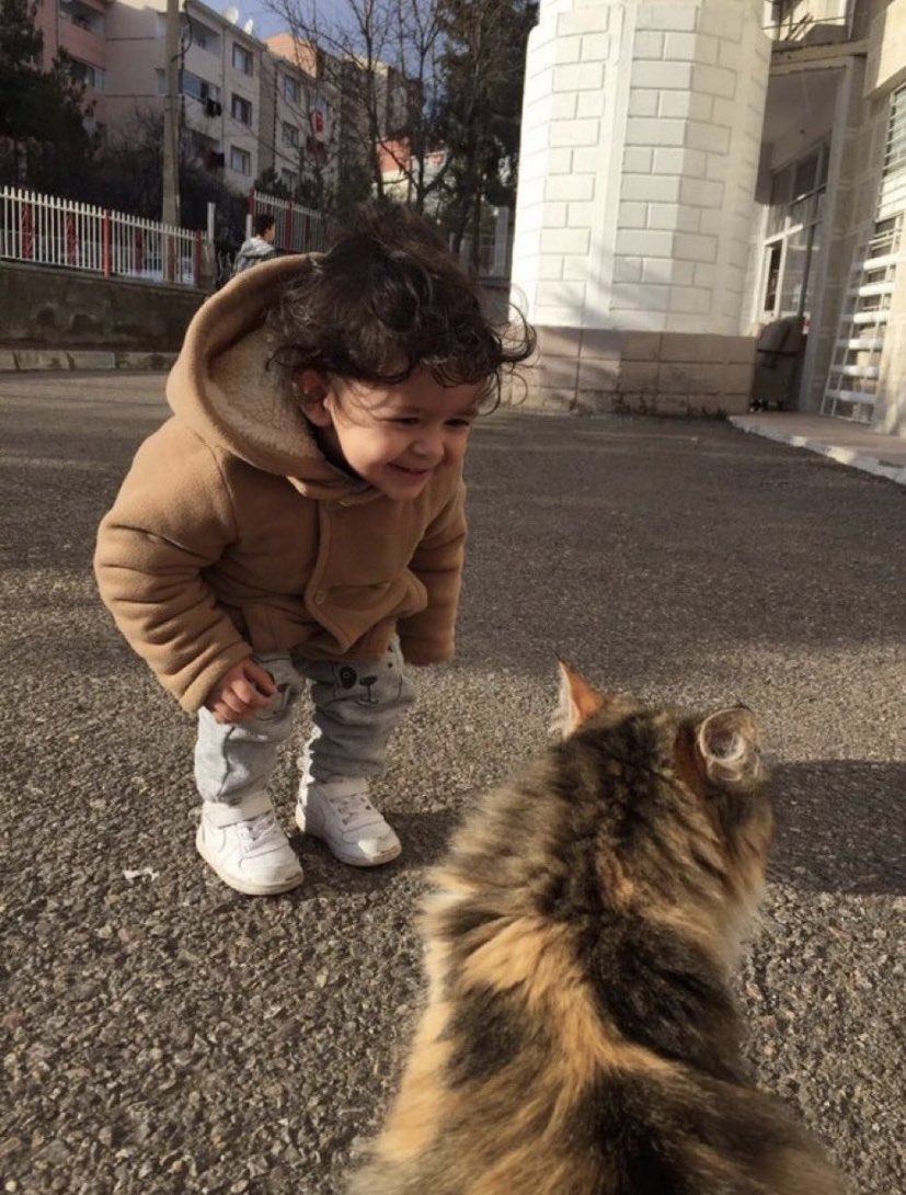 sokakta her kedi gordugumde ben