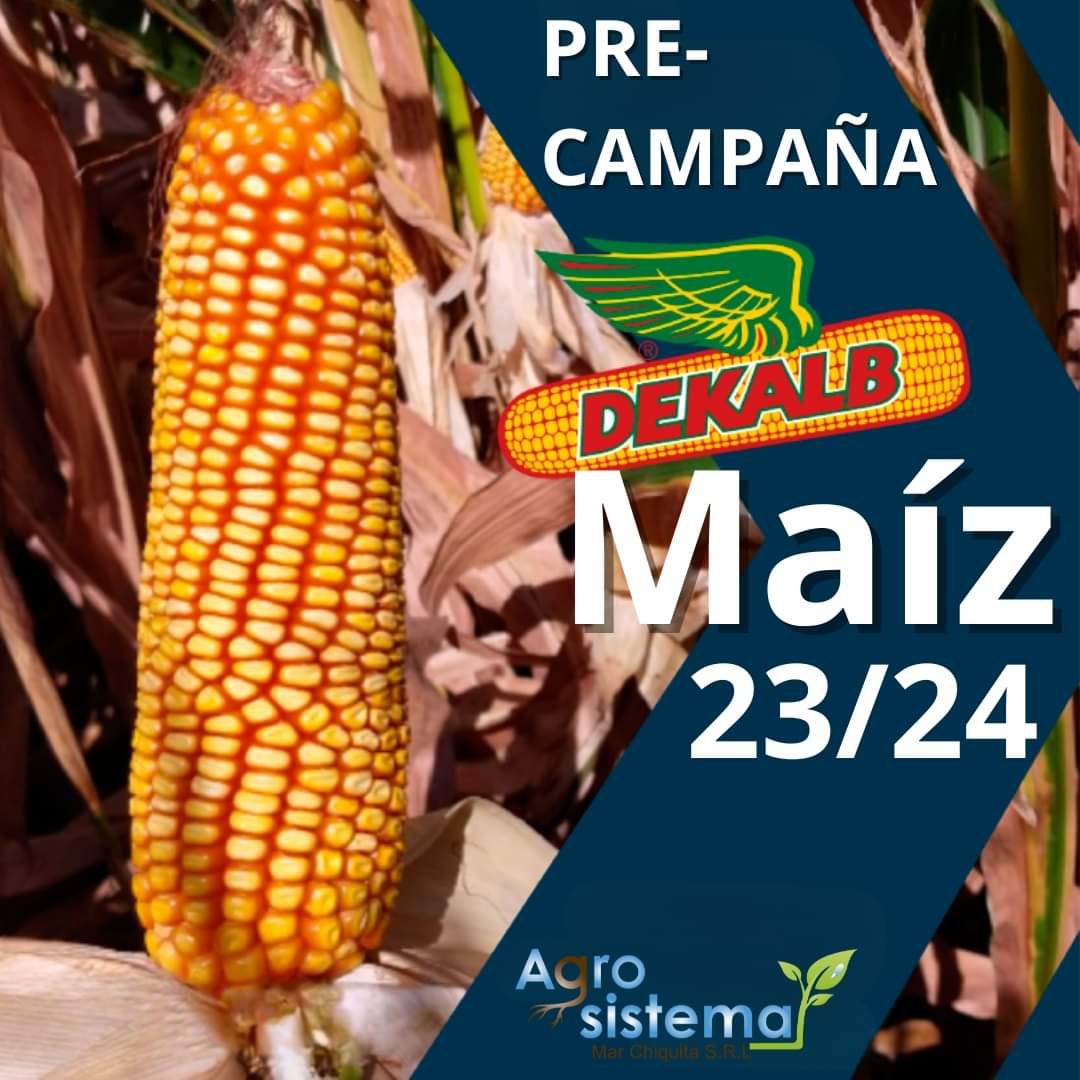 Agrosistemamar's tweet photo. Pre - Campaña Maíz Dekalb 23/24
No te pierdas la oportunidad de elegir Tu Hibrido y Calibre para la nueva campaña. 

Te esperamos para brindarte el mejor asesoramiento y la mejor calidad del mercado.

@DekalbArgentina https://t.co/VWBuF3Ju8Y