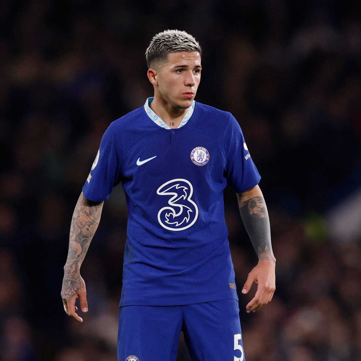 CFCBlues_com's tweet photo. Enzo Fernandez tonight.

Discuss 👇 https://t.co/aqlXqsfMZD