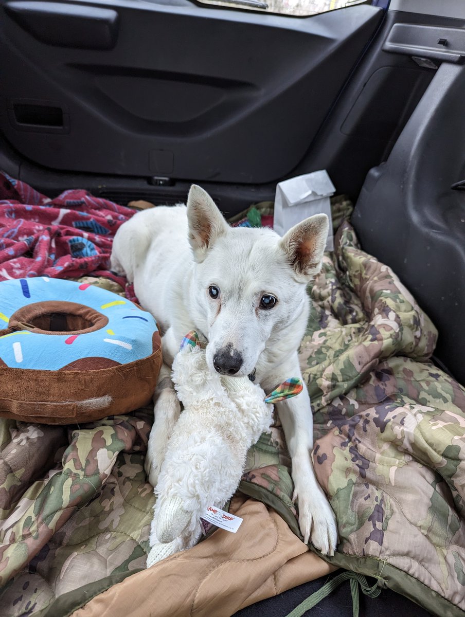 John Newby on Twitter "It's important to know the value of a great