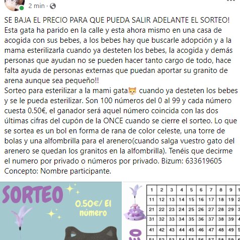 Edwyn_Fantasy's tweet photo. SORTEO SOLIDARIO #SORTEO #CAT #GATOS #SOLIDARIO #AYUDA https://t.co/rBk6qc88ft