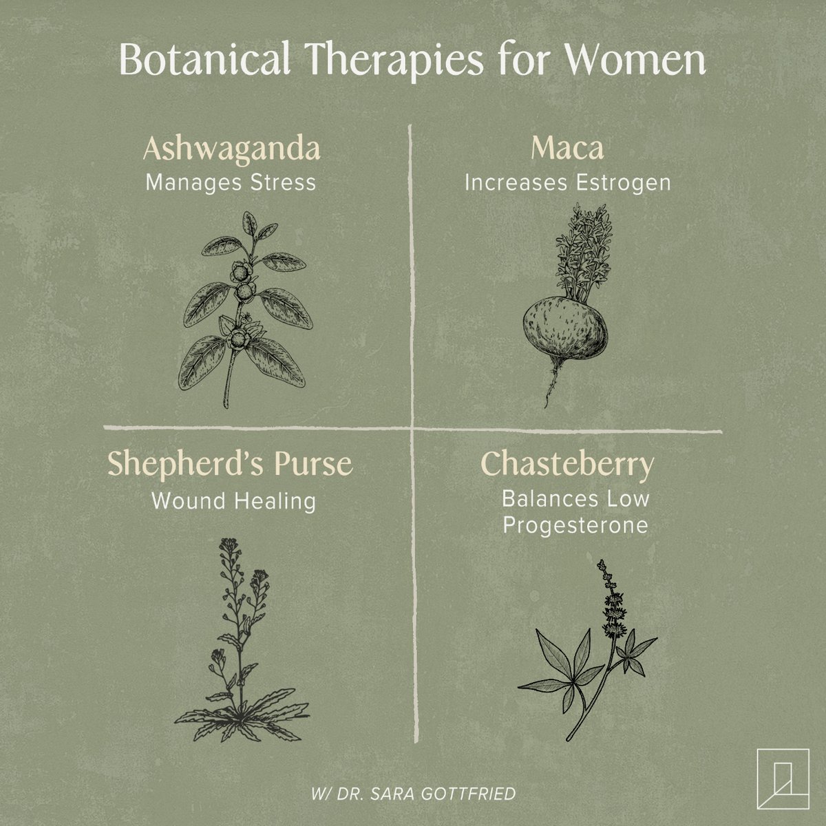 Women — here are a few of your herbal allies, courtesy of world-renowned physician @saragottfriedmd. 🌱