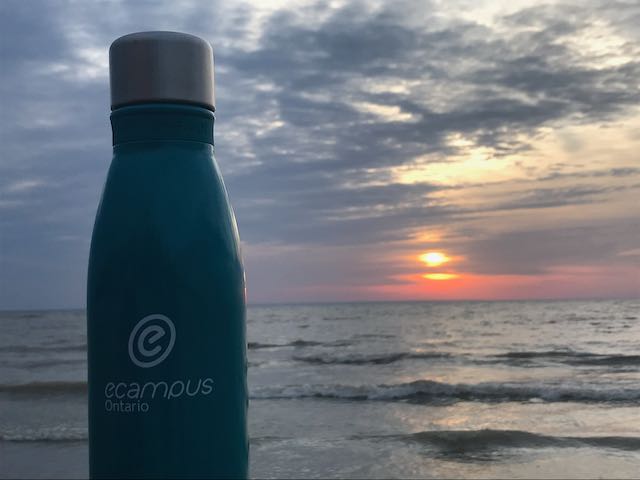 IT4Learning's tweet image. Travelling eCampusOntario TESS water bottle recently sighted in lake sunset view. Take the challenge to "Extend" the reach. Share your favourite swag setting! #Kincardine @eCampusOntario #TESS2022 #travelling_swag