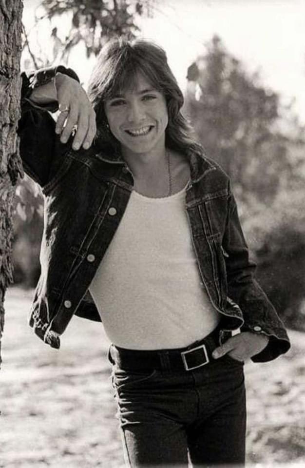 Happy Birthday to my Pretend Boyfriend, David Cassidy! 