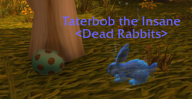 Taterbobasaurus's tweet photo. I am deeply offended that I am in astral form and yet was still transformed into a rabbit. #DruidUproar #WoW #Noblegarden https://t.co/mRidhuxJDS