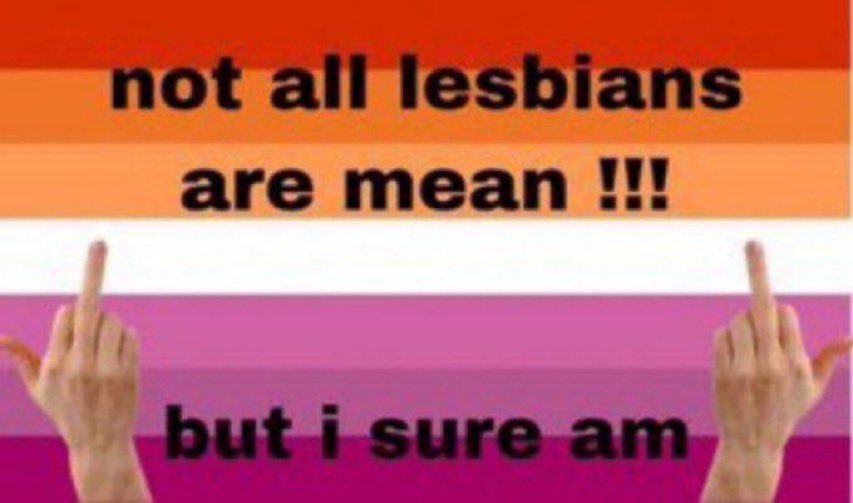 Lesbian Memes🏳️‍🌈🏳️‍⚧️FREE PALESTINE🇵🇸 (@lesbianmemes_) on Twitter photo 
