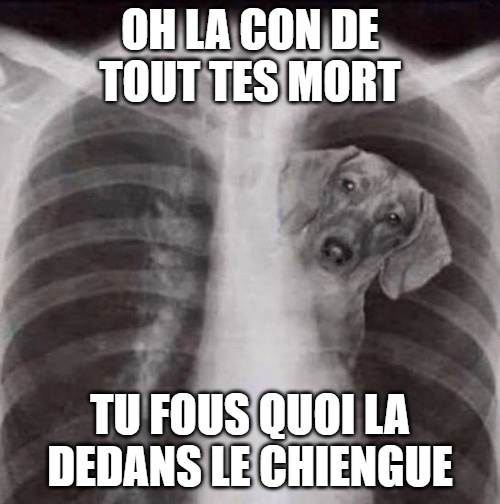 tobi 🔻 (@tobismileychat) on Twitter photo 