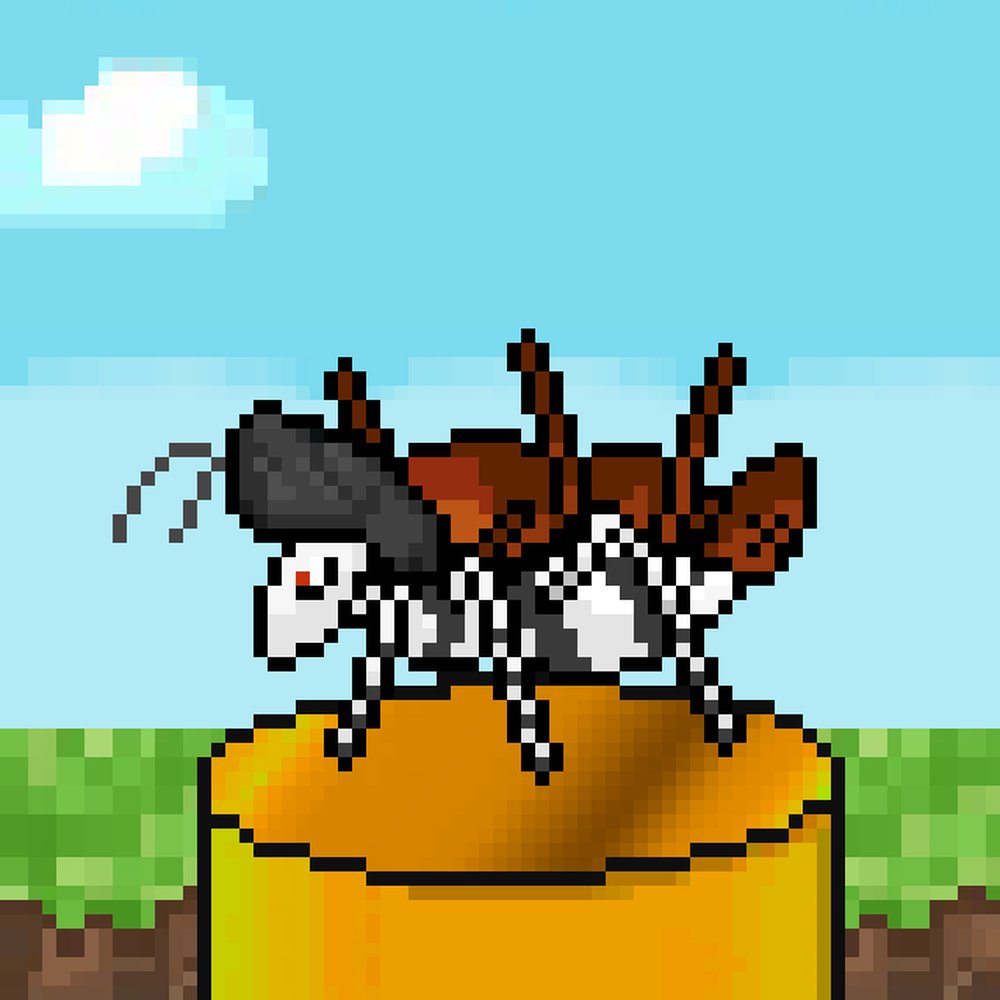 Avalant Sales Tracker tweet media