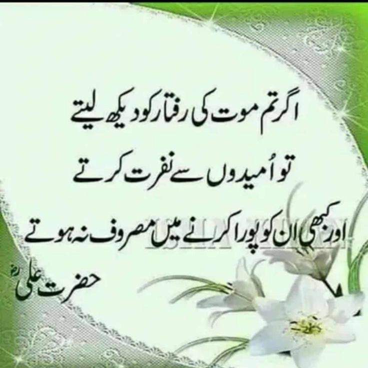 MUHAMMAD MUSHTAQ CHEF (@mmustaqa969) on Twitter photo 