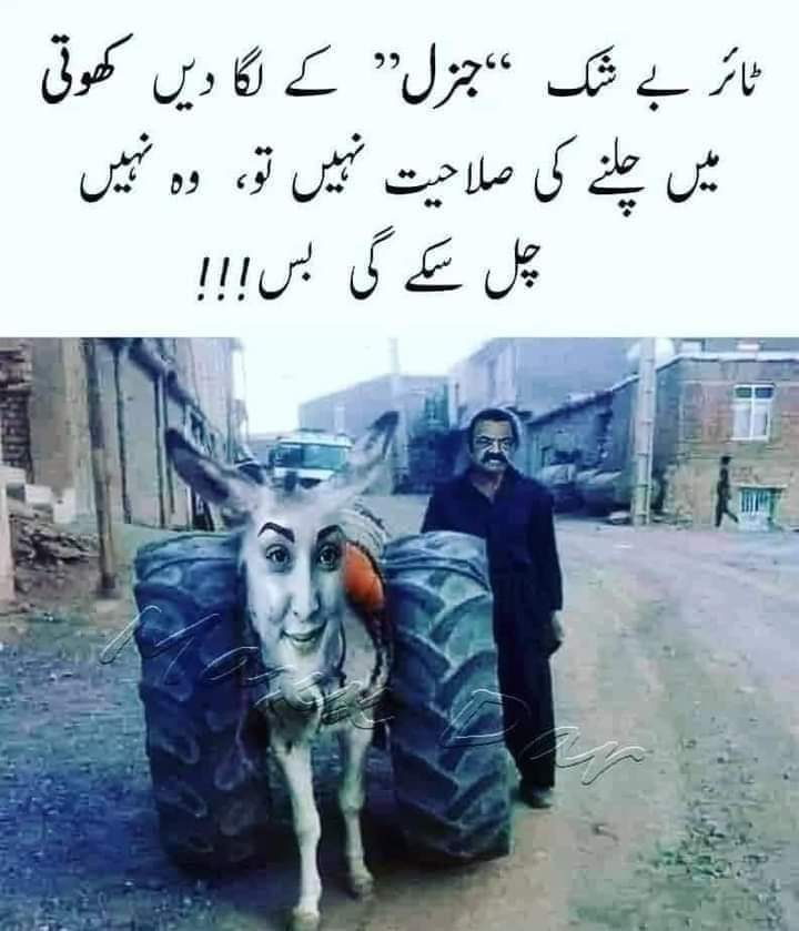 MUHAMMAD MUSHTAQ CHEF (@mmustaqa969) on Twitter photo 