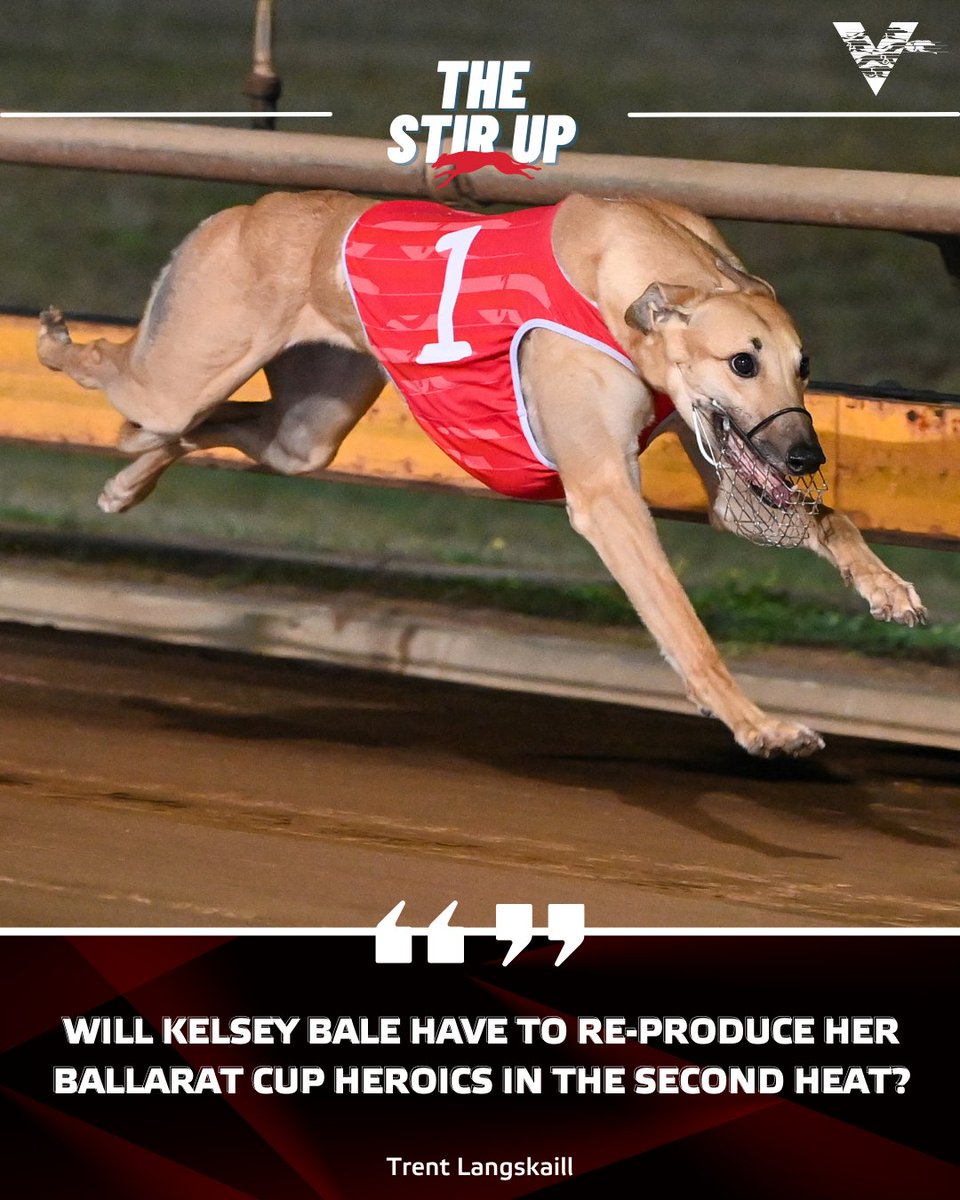 WatchDogRacing's tweet photo. Encore performance?
KELSEY BALE has another opportunity to shine in Friday night’s heats of the Group 2 @sportsbetcomau #GeelongGoldCup.
@trentlangskaill discusses other heats of the #GeelongGoldCup in #TheStirUp.
📰 https://t.co/jbqffBlAI7
#GreyhoundRacing https://t.co/nzdVV6Dpz4