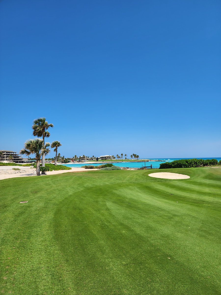 Just returned from a breathtaking trip to Punta Cana? 🌴☀️  The beaches are stunning, and the investment opportunities are even more promising! 💰🏝️  
#DominicanRepublic #ColdwellBankerDR #PuntaCana #CapCana #ColdwellBanker #InvestmentOpportunity #RepublicaDominicana #PuntaEspada