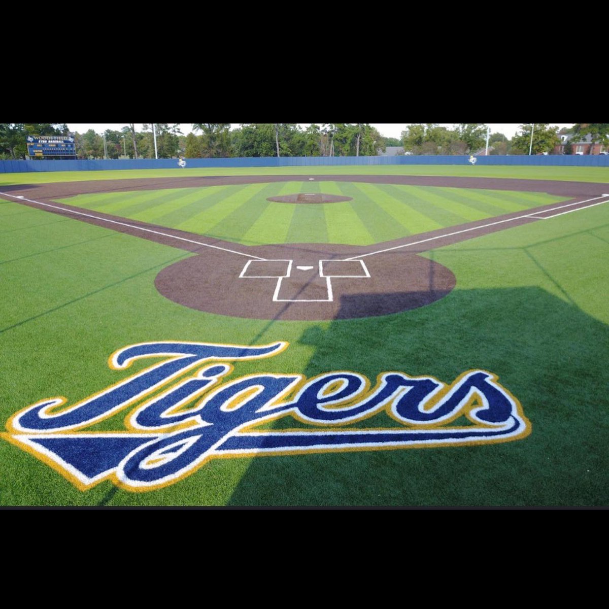 Cade Chesley tweet media