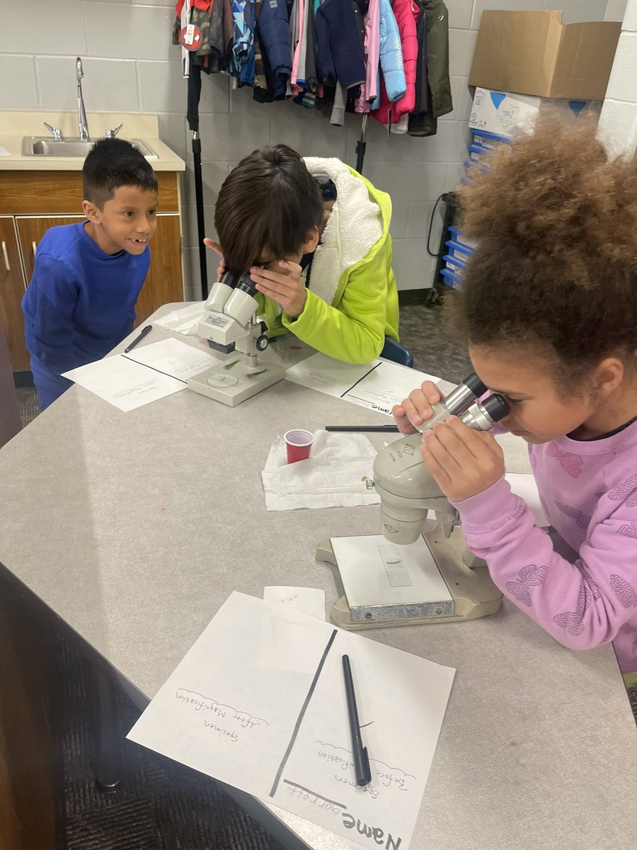 Their excitement for science and investigating their curiosities is contagious! #sciencekids #Curious