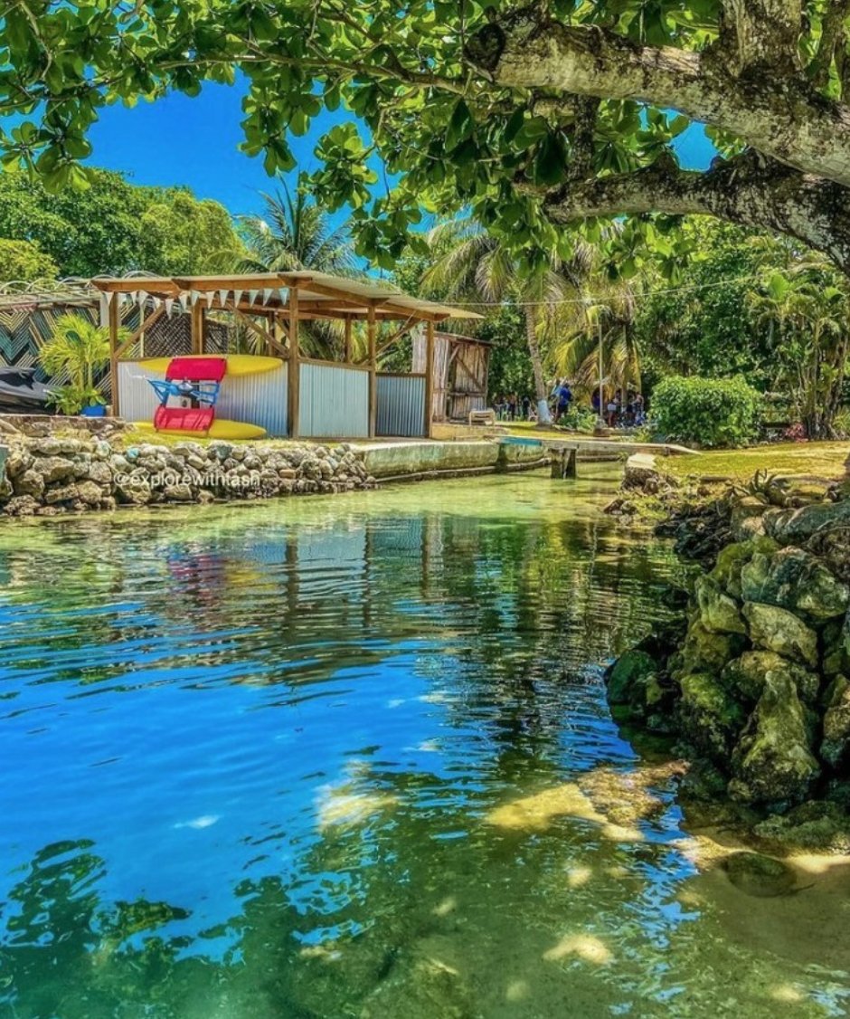 Surrounded by natural beauty from the coastline to the hills, Ocho Rios is also home to the most famous natural attraction, Mahogany Beach Club.

Are you one of the lucky ones who discovered this hidden gem?

Photo credit: IG @explorewithtash