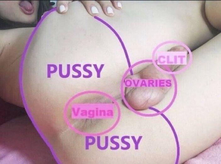Alexacomplexnyc's tweet photo. Sissy anatomy explained perfectly. Let the fun begin.
Dm with tribute for my sissy course
@Alexacomplexnyc https://t.co/bNoOk1yRio