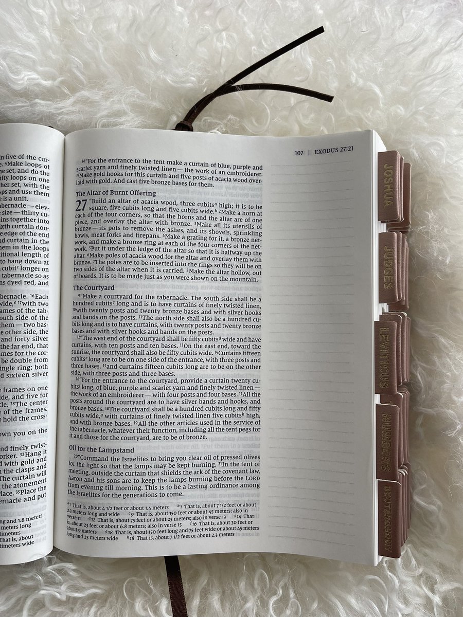 Chey Fair tweet media