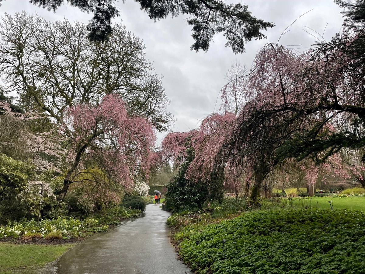 SFU French Dept tweet media