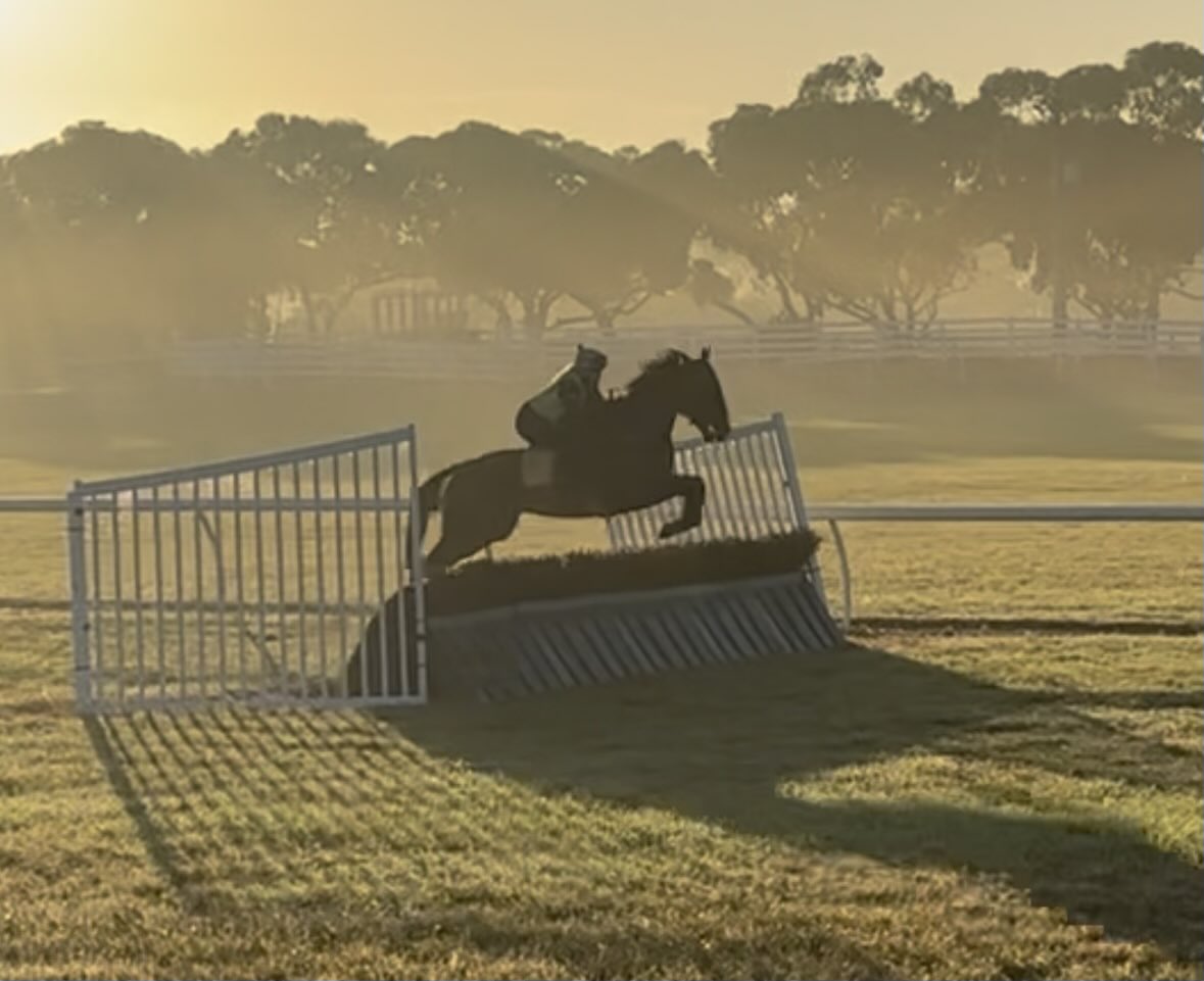 3 yo filly Brush Hurdle 1st time