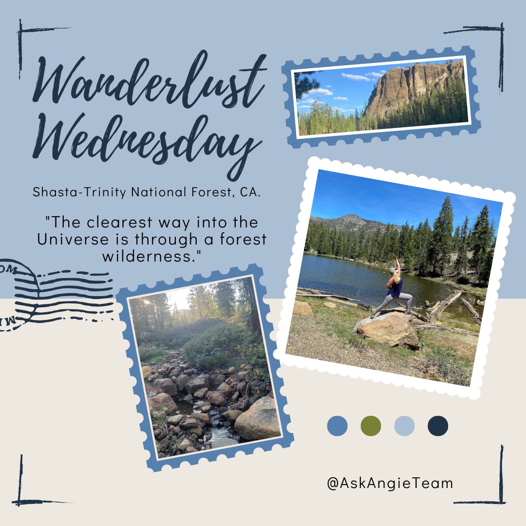 AskAngieTeam's tweet image. Experience the awe-inspiring beauty of Shasta-Trinity National Forest in Northern California! 🌲🏞️✨ Discover towering trees, pristine lakes, &amp;amp; majestic peaks, including iconic Mount Shasta. A wilderness paradise that will leave you awe-inspired! 
#wanderlusting #ShastaTrinity