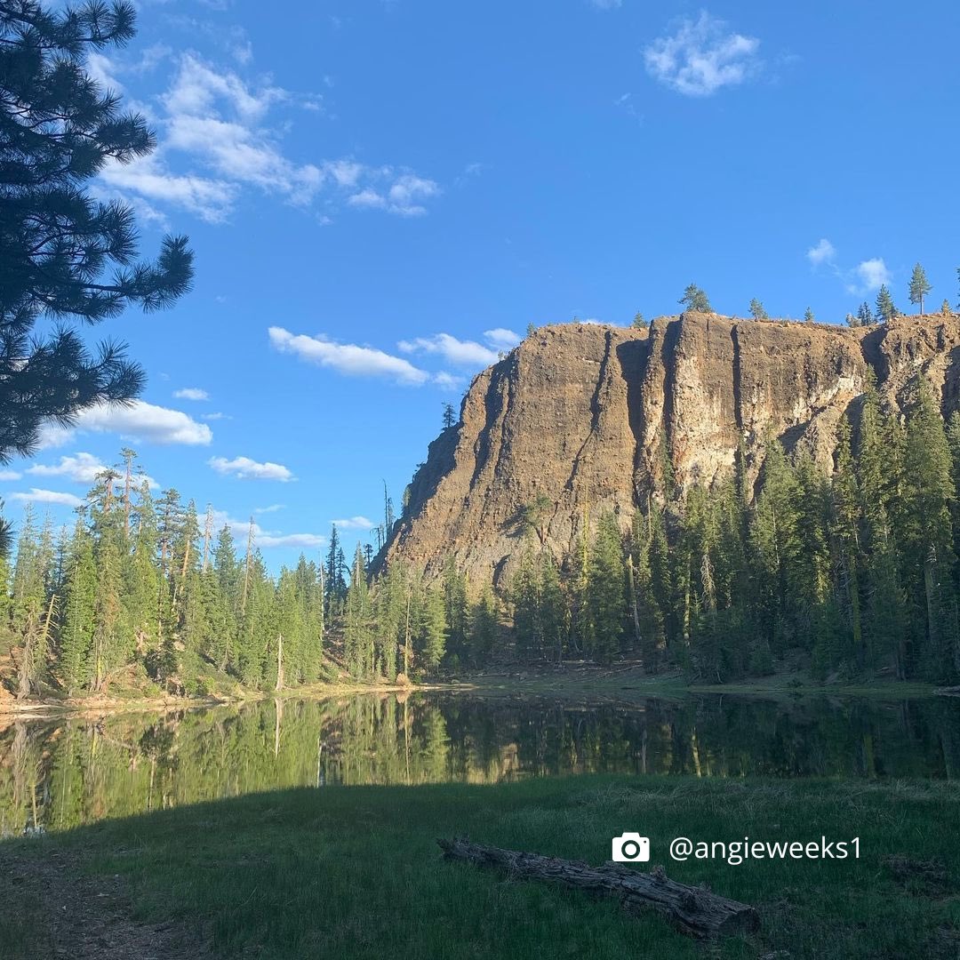 AskAngieTeam's tweet image. Experience the awe-inspiring beauty of Shasta-Trinity National Forest in Northern California! 🌲🏞️✨ Discover towering trees, pristine lakes, &amp;amp; majestic peaks, including iconic Mount Shasta. A wilderness paradise that will leave you awe-inspired! 
#wanderlusting #ShastaTrinity