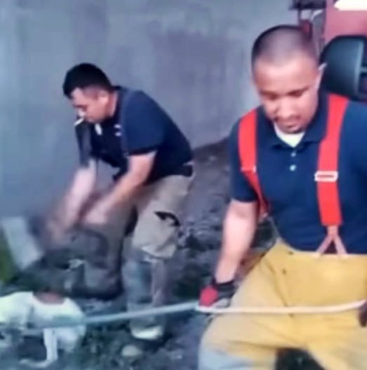 MrElDiablo8's tweet photo. Yo quiero un chingo a los #Bomberos, siempre he respetado todo lo que hacen, los considero unos héroes, pero esta mamada que hicieron estos #HDP de #Coahuila fue lo peor, no se le hace a nadie, que lo paguen con cárcel. 

#VivanLosPerros 🐶🐶
#Justicia https://t.co/4mdtLujAIP
