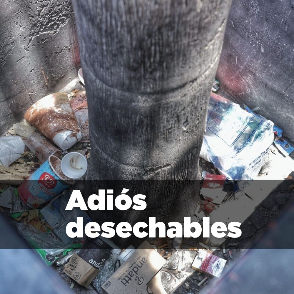 VIBADSAN's tweet image. Hay acciones del día a día que podemos cambiar y hacen una enorme diferencia.

Cambiar nuestros hábitos, por pequeños que parezcan, suman para preservar ecosistemas y frenar el #cambioclimático, tal como decirle adiós a los desechables, biodégradables o no.

#tipverde