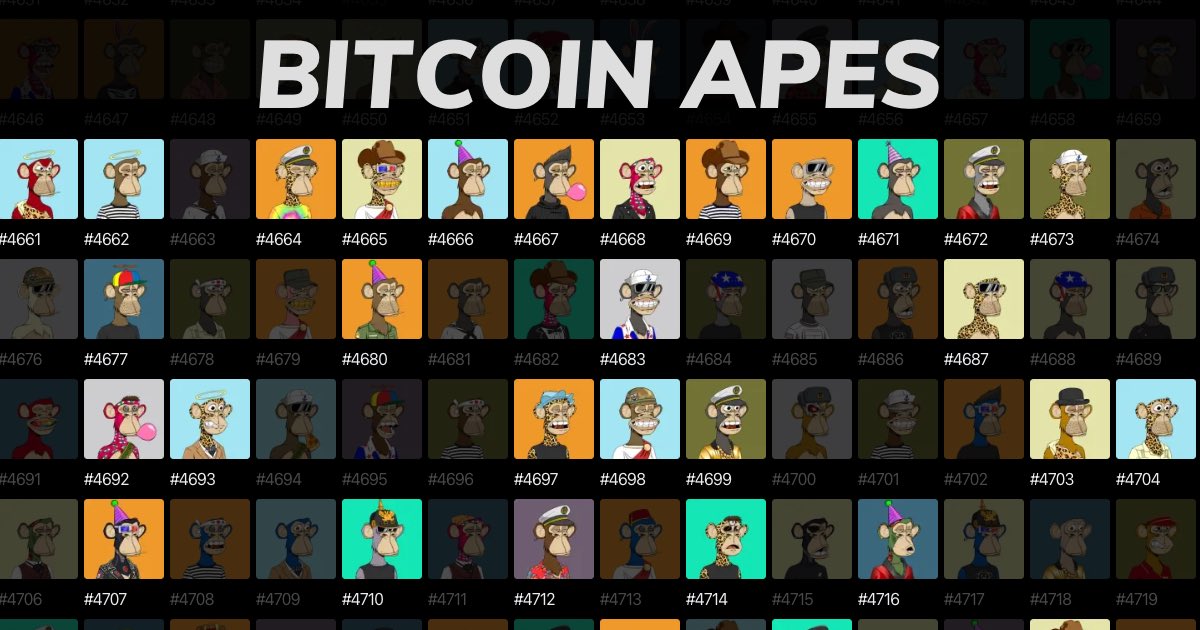Bitcoin Apes (not BAYC and not Yuga Labs) (@bitcoinapes_) on Twitter photo ✨ Just a reminder you can find Bitcoin Apes on these amazing marketplaces!
🟧 <a href="/OrdinalsMarket_/">Ordinals Market</a> - ordinals.market/collection/eth…
🟧 <a href="/EmblemVault/">Emblem Vault</a> - opensea.io/collection/emb…
🟧 <a href="/ordswap/">Ordswap</a> - ordswap.io/collections/bi…
🟧 <a href="/ordinalswallet/">Ordinals Wallet</a> - ordinalswallet.com/collection/bit… ✨ Just a reminder you can find Bitcoin Apes on these amazing marketplaces!
🟧 <a href="/OrdinalsMarket_/">Ordinals Market</a> - ordinals.market/collection/eth…
🟧 <a href="/EmblemVault/">Emblem Vault</a> - opensea.io/collection/emb…
🟧 <a href="/ordswap/">Ordswap</a> - ordswap.io/collections/bi…
🟧 <a href="/ordinalswallet/">Ordinals Wallet</a> - ordinalswallet.com/collection/bit…