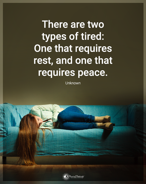 The Mindfulness Meditation Institute tweet media