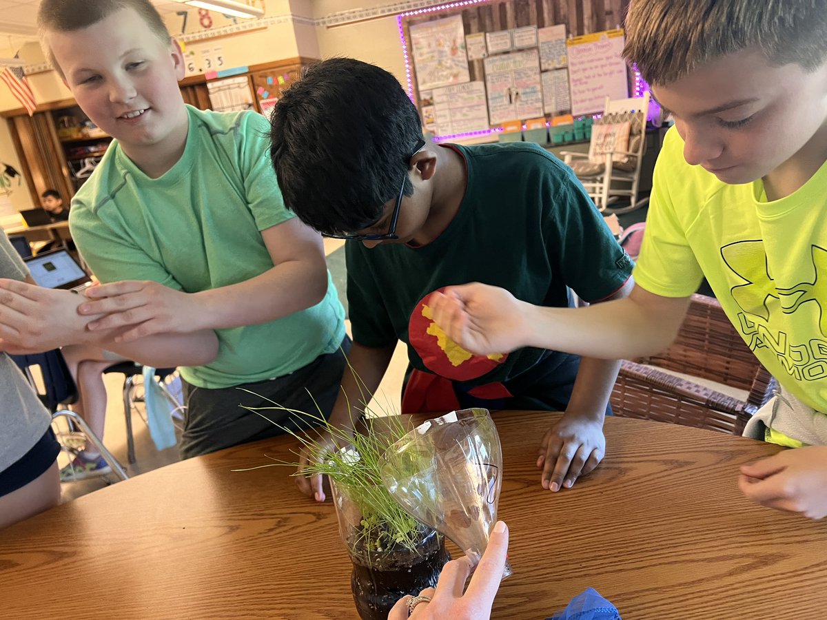 Our organisms arrived today and are ready to “move in” to the ecosystems we have created for them!!! 🐟 🐜#HandsOnScience @PSDGrasse @PennridgeSD