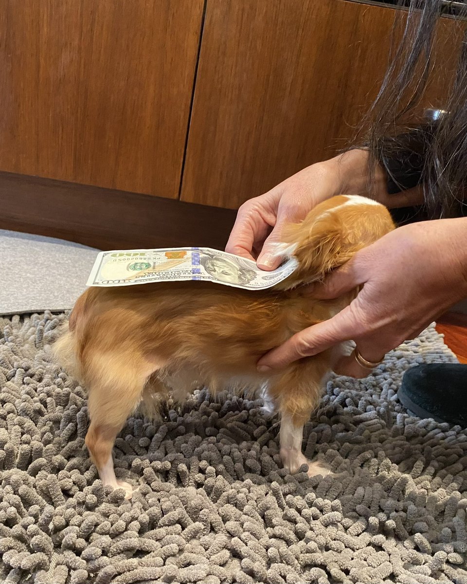 Demi Moore tweet media