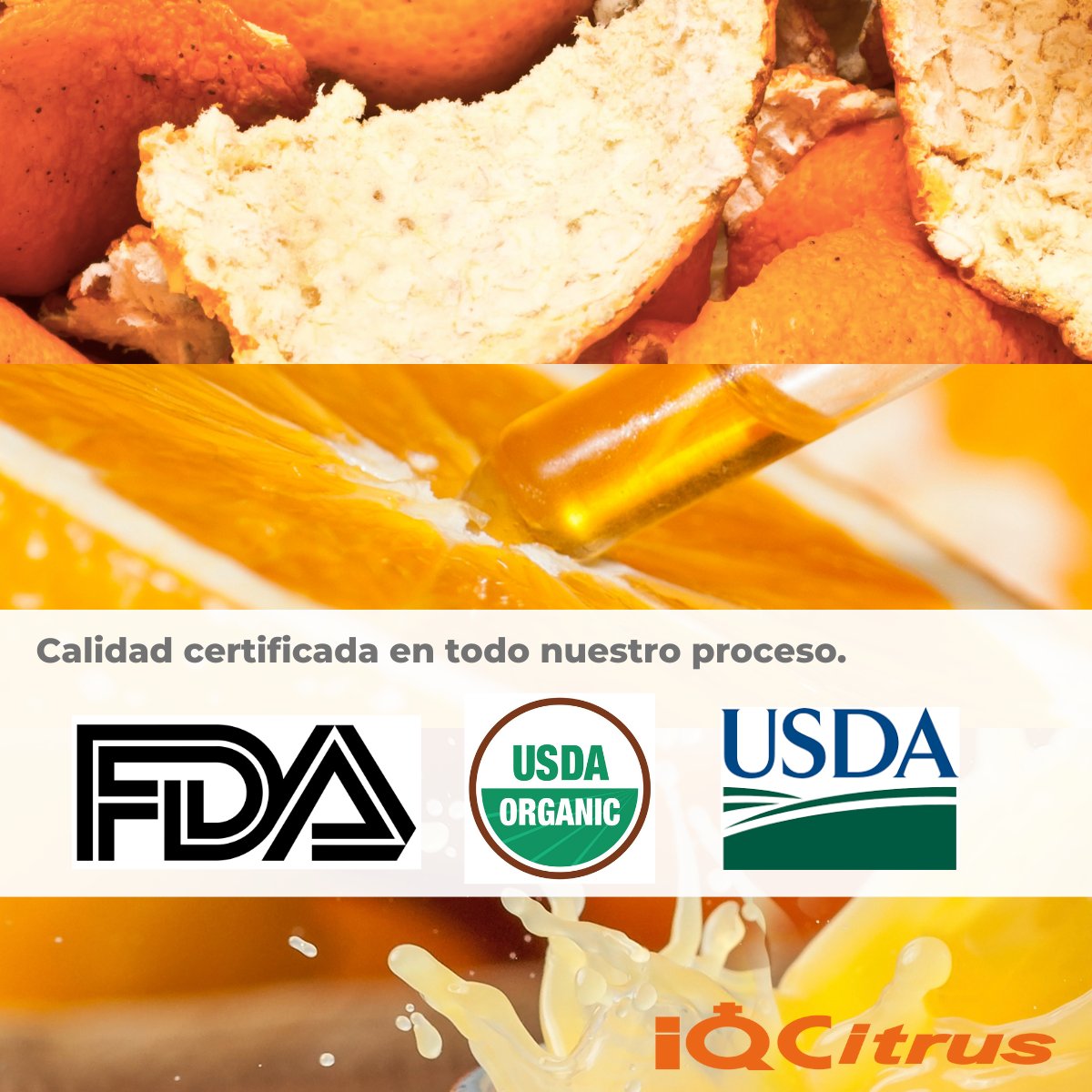IQCitrus's tweet photo. Agradecemos la preferencia de nuestros socios comerciales en Estados Unidos de América.
#Exportación #HechoEnMéxico #CalidadCertificada https://t.co/7E7g9F4HBB