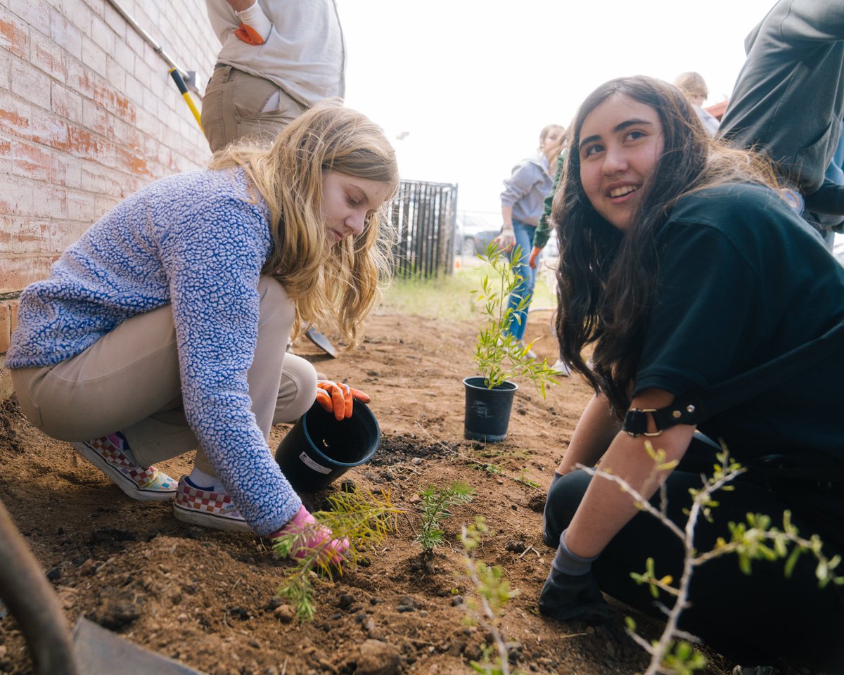 Arizona Project WET tweet media