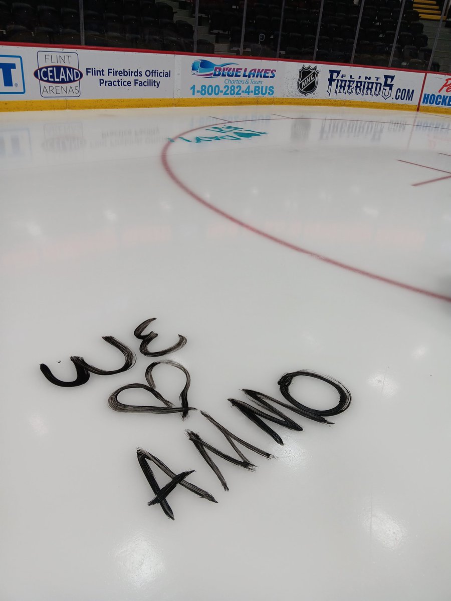 Wilddflowerrs's tweet photo. There is zero question the love Flint has for Ammo. But really that Lambo logo 👀 Thr girl spent so much time on it. It turned out awesome 

#fff #flintfirebirds #fuelthefire https://t.co/aFqh0mMkqW