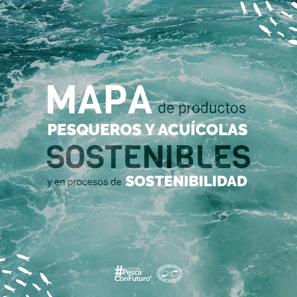 pescaconfuturo's tweet photo. Conocer de la especies y respetar sus vedas, es responsabilidad de todos. 🌊 https://t.co/lacsWMxElD
