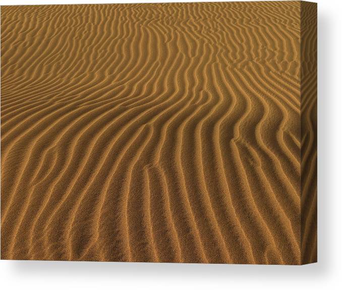 Golden Ripples of Sand #CanvasPrint Available here: kathrin-poersch.pixels.com/featured/golde… #AYearForArt #BuyIntoArt #patterns #homedecor #wallart #NaturePhotography #photographylovers #TwitterNatureCommunity #SupportHumanArtists #ThePhotoHour #sand #ripples #texture #art #abstractphotography