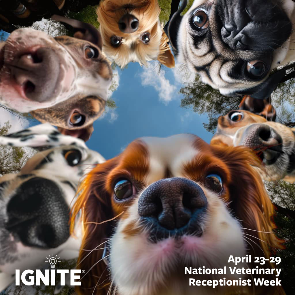 IGNITEvet's tweet photo. "WE SEE YOU CSRs!" - Let’s open our eyes and see the CSR role for what it is. Invest in their future, and elevate their role to where it deserves to be. A good time is April 23-29, which is National Veterinary Receptionist Week!
#veterinaryreceptionistweek #vetreceptionist https://t.co/pWH5HUS7u5