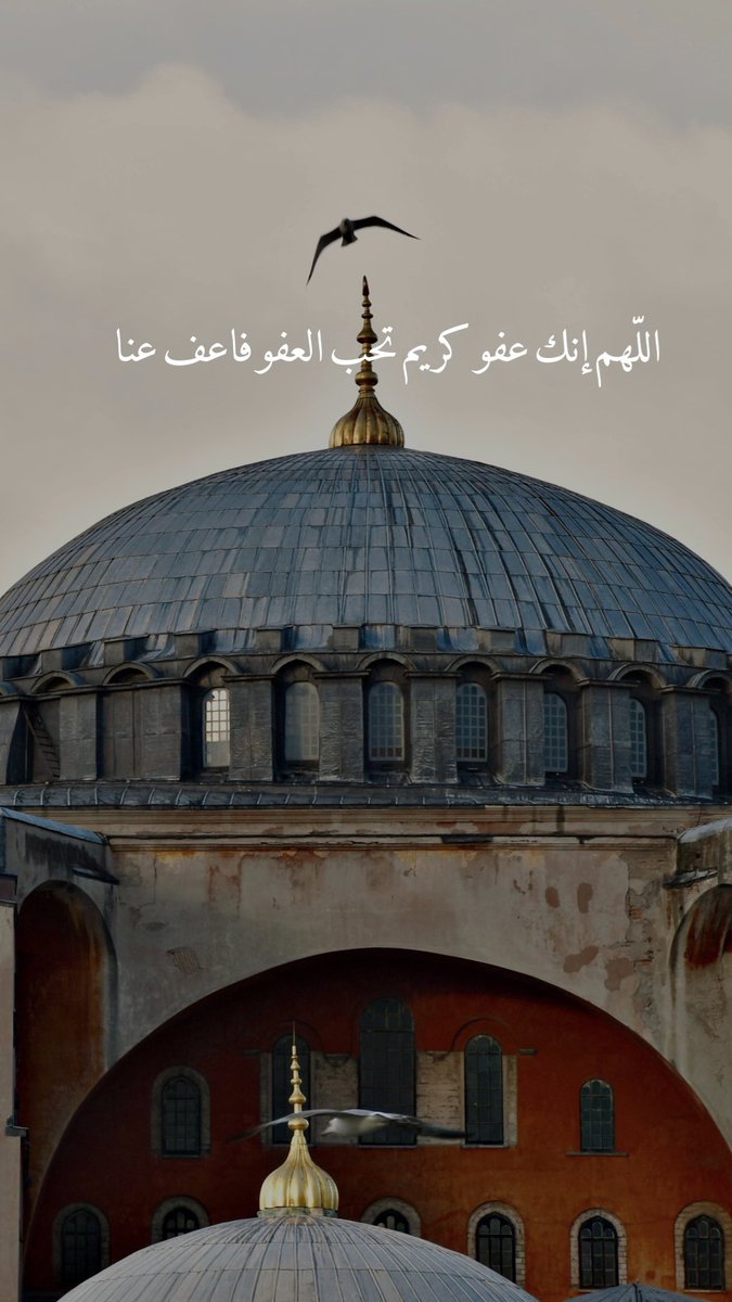 mosquesty (@mosquesty) on Twitter photo 