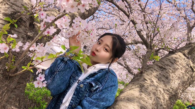 Twitterのコスプレ画像12