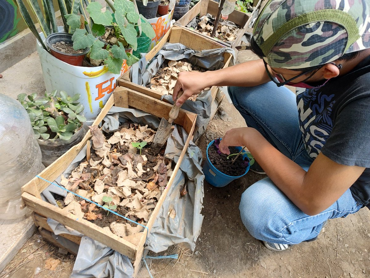 sandra_gro's tweet photo. Hacer un huerto es hacer una Revolución.... En la mente, en el ambiente, en la comunidad, en la sociedad.#PILARES #AcercateAPILARES https://t.co/ZpwgYZP6C0