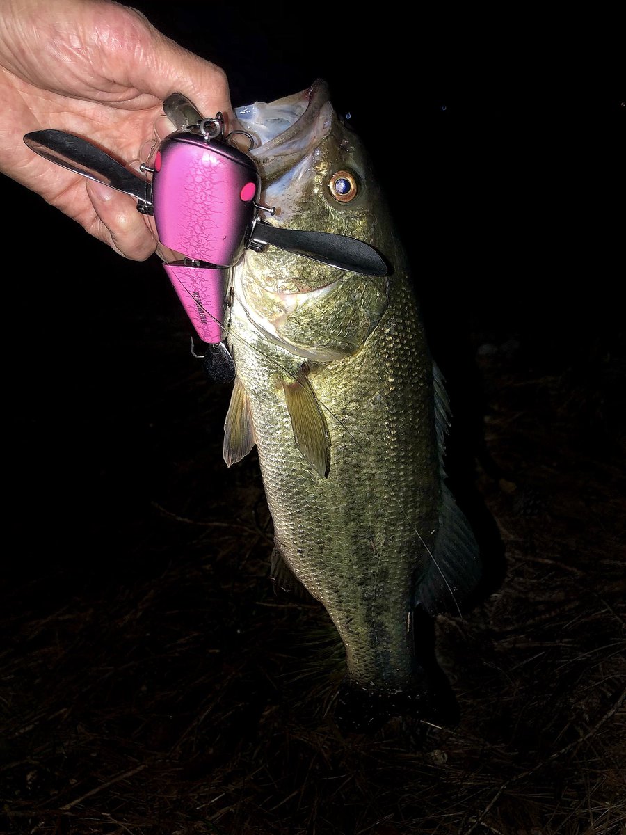 着水→ステイでポコっと🐟