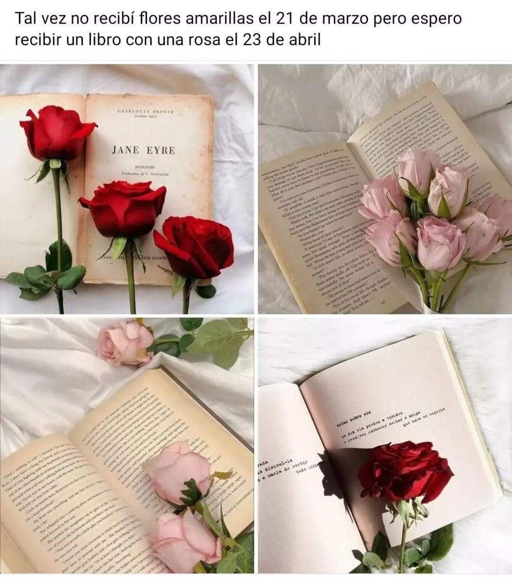 Si les gusta leer‼️📖 no olviden su libro y una rosa 🌹 este 23 de Abril‼️📖❣️💐🌹📖❣️💐📖❣️🌹
#23deabril
#floreriaguindashy #Floreríastoluca #floresadomicilio