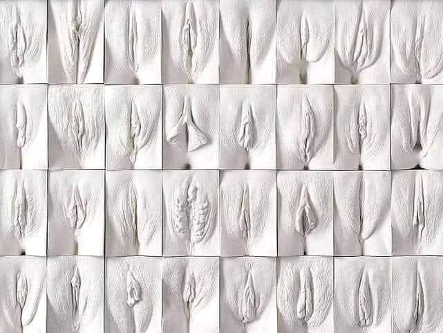 swingersltd's tweet photo. We love them all 🤩🫶🏼 https://t.co/zCp0uz1YLt