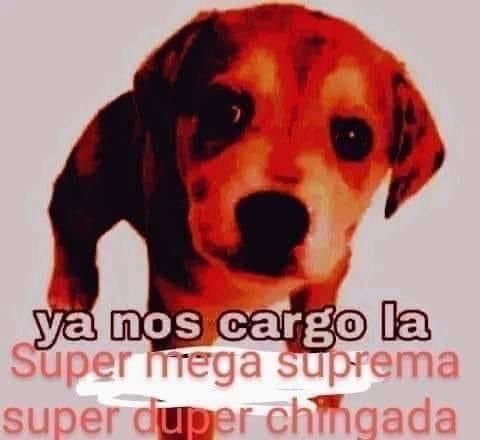 IdjsFox's tweet image. 