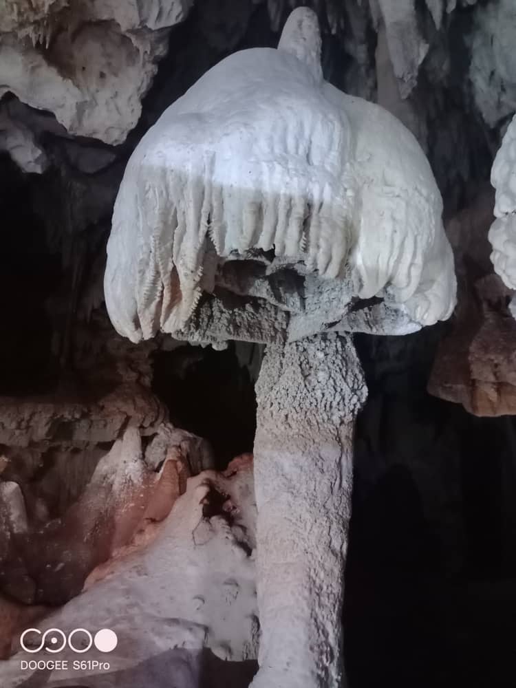 Hoy se celebra el Día de las Áreas Protegidas de Cuba 🏞️
En nuestro país contamos actualmente con 231.
Desde nuestra Fundación contribuimos al cuidado y protección de Las Cuevas de Bellamar y La Cueva de Santa Catalina desde 1998.