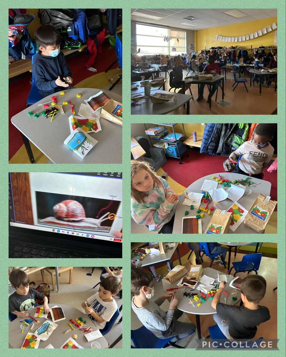smith_giovanna's tweet photo. We are so lucky to participate in #scientistsinschool this afternoon! So much learning! So much fun! Thank you @StCeciliaSC to help pay for this event! @StCeciliaOCSB https://t.co/I03HkAV0Hd