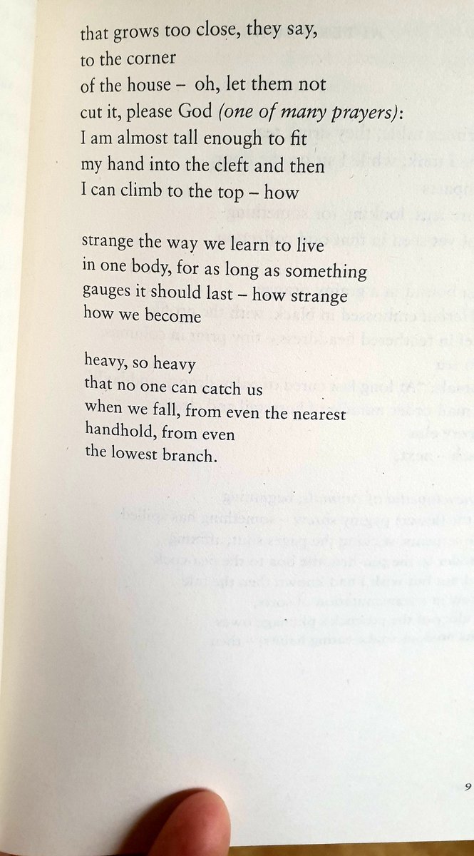 ...how strange how we become heavy, so heavy that no one catches us when we fall, from even the nearest handhold, from even the lowest branch... Tanya Standish McIntyre @poetryandart