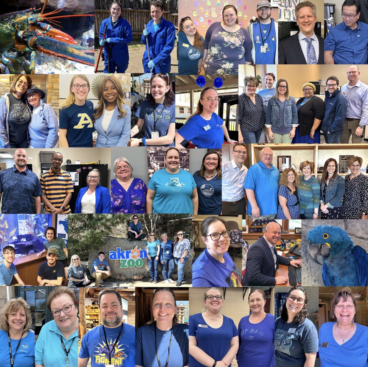 Akron Zoo staff rocked their blue today for Wear Blue Day! We partnered with our friends at <a href="/SCCSkids/">Summit County Children Services (SCCS)</a> in honor of Child Abuse and Prevention Month to raise awareness about the importance of child abuse and neglect prevention. #wearblueday  #summitwearsblue #akronzoowearsblue