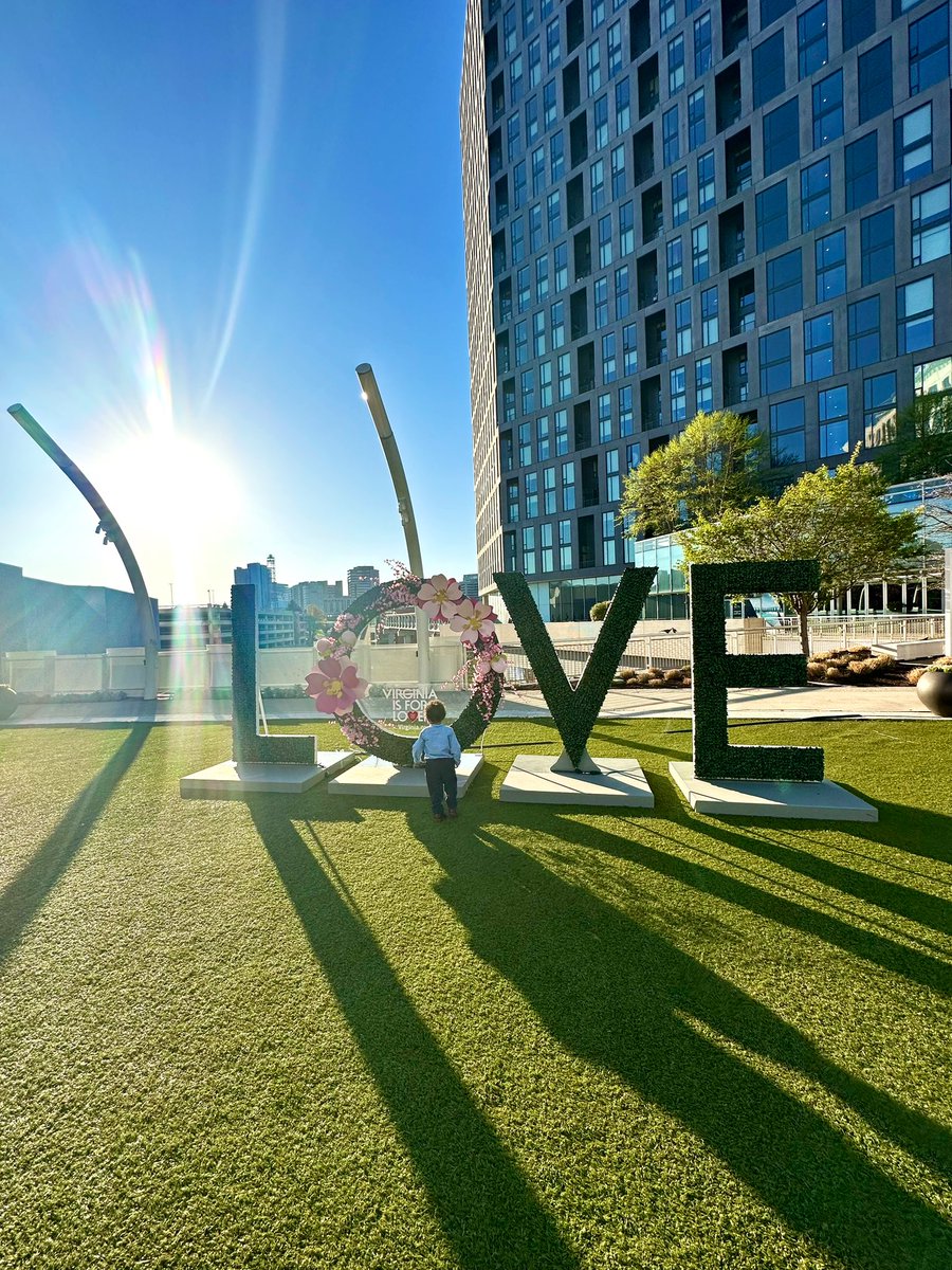 Sharnee Zoll tweet media